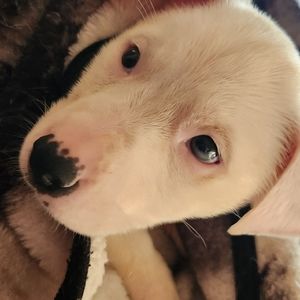 Meet your Posher, Mindy